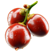 Fresh cherry tomatoes with a shiny red surface and green stems attached to the vine png