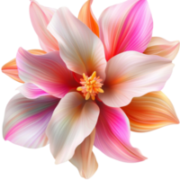 Delicate pink and white flower with soft petals arranged in a symmetrical pattern png