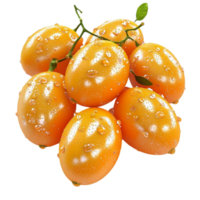 Cluster of ripe kumquats with vibrant orange skin and tiny water droplets on the surface png
