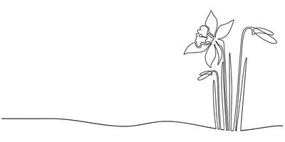 One line continuous daffodils. Flowers concept banner in line art hand drawing style. Outline illustration. vector