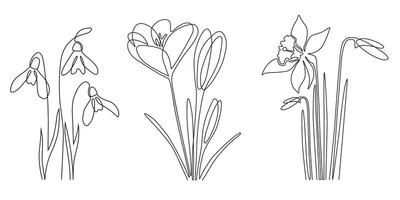 One line drawing of spring flower set. Continuous abstract line snowdrops, crocuses, daffodils. Minimalist spring flower outline drawing. Hand drawn flowers sketch. vector