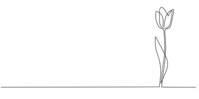 One line continuous tulip. Flowers concept banner in line art hand drawing style. Outline illustration. vector