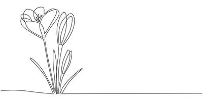Spring crocus flower in continuous line art drawing style. Minimalist black linear sketch isolated on white background. Illustration, spring flower in continuous line art drawing style. vector