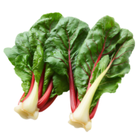 Red chard stalks and leaves on Transparent Background png