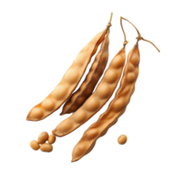 Soybean pods and beans on transparent background png