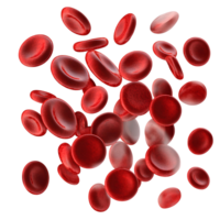 Red blood cells 3d render on transparent background png