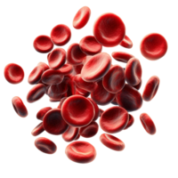Red blood cells microscopic 3d render on transparent background png