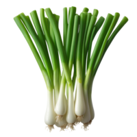 Healthy Bunch of Green Onions Isolated on Transparent Background png