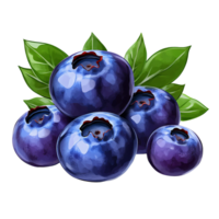 Blueberries with green leaves on Transparent Background digital painting png
