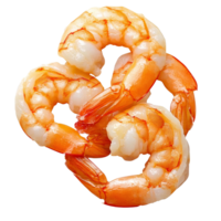 Cooked shrimp on Transparent Background, close-up image of three orange shrimps png