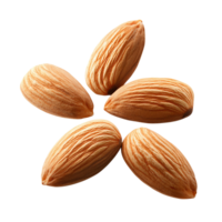 Almonds five nuts in star shape on transparent background png