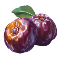 Plums with leaf digital painting on transparent background png