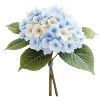 Blue and yellow hydrangea bouquet on transparent background png