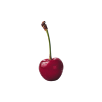 Single cherry on a transparent background png