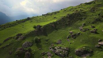 Mountainside and beautiful alpine green meadows video