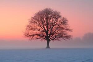 Solitary Tree in Winter at Sunrise with Frost and Mist for Calm Nature Poster photo