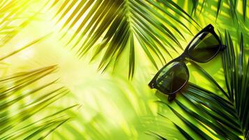 A pair of sunglasses on a palm leaf photo