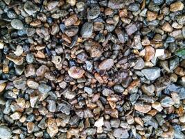 A captivating close-up of pebbles in various shades of brown, beige, and gray. The stones are tightly packed, creating a textured pattern with a natural, earthy feel. photo