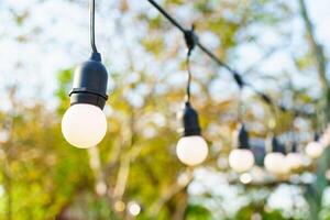 Bright outdoor string lights hanging in garden, creating warm atmosphere. blurred background features trees and greenery, enhancing cozy ambiance photo