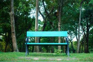 vibrant green park bench surrounded by lush trees and grass, inviting relaxation in serene outdoor setting. Perfect for enjoying nature beauty photo