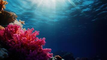 Vibrant coral reef with colorful corals under clear ocean water photo