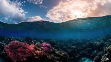 Vibrant coral reef with colorful corals and sunlight filtering through water photo