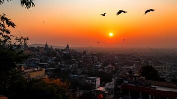 city at sunset with birds flying over skyline and pollution haze photo