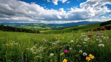 vibrant countryside scene with rolling hills, lush greenery, and colorful wildflowers photo
