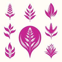 A set of different types of leaves and flowers vector