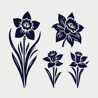 Four daffodils in different shapes and sizes vector
