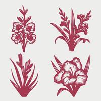 Four different types of flowers, including a lily, a daisy, and a rose vector