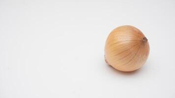 Single Ripe Onion Bulb on White Background photo