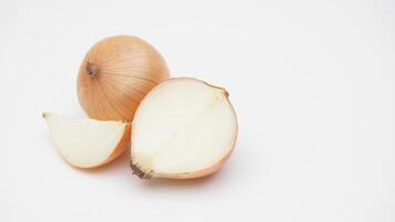 Set of Onion on White Background photo