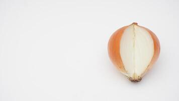 Sliced Onion Texture on White Background photo