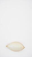 Top View of Slice of Onion on White Background photo