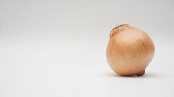 Single Onion Bulb on White Background photo