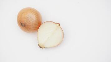Top View of Onion Bulb and Half Cut on White Background photo