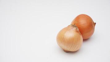 Two Onion Bulbs on White Background photo