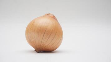 Onion Bulb on White Background photo