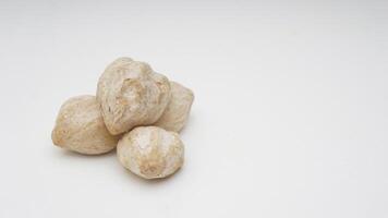 Candlenut or Kemiri on White Background photo