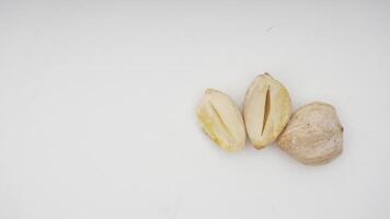 Candlenut Spice or Kemiri on White Background photo