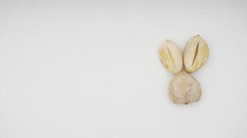 Top View of Candlenut or Kemiri on White Background photo