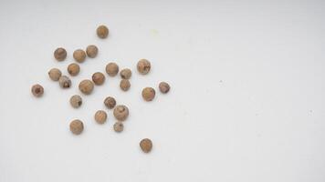 White Pepper Seeds on White Background photo