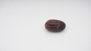 Single Nutmeg Spice on White Background photo