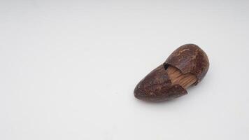 Whole Nutmeg Spice with Broken Skin on White Background photo