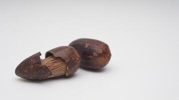Dried Nutmeg with Broken Skin on White Background photo