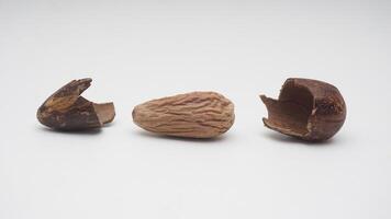 Nutmeg Spice Seed with Its Broken Skin on White Background photo