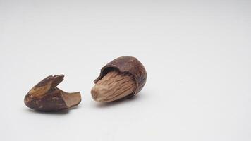 Dried Nutmeg Spice on White Background photo
