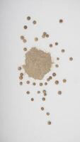 Top View of White Pepper Seeds and Powder on White Background photo