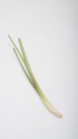 Lemongrass on White Background photo